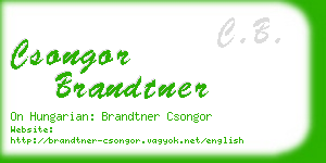 csongor brandtner business card